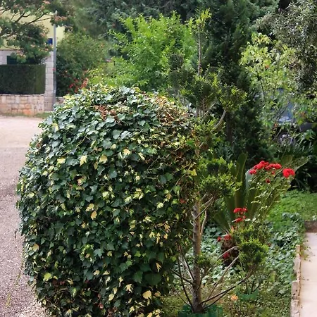 By The Sea Loviste, Peljesac - 10197 * Lovište