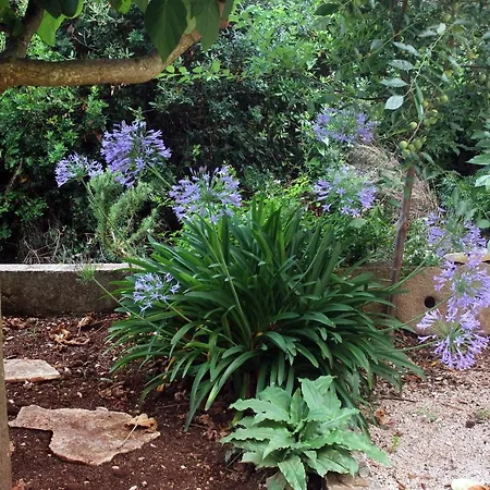 By The Sea Loviste, Peljesac - 10197