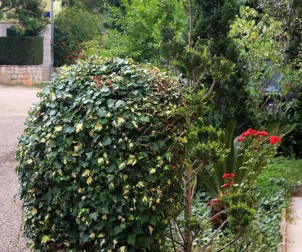 By The Sea Loviste, Peljesac - 10197 * לוביסטה