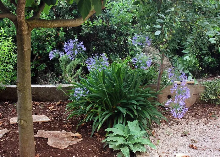 By The Sea Loviste, Peljesac - 10197