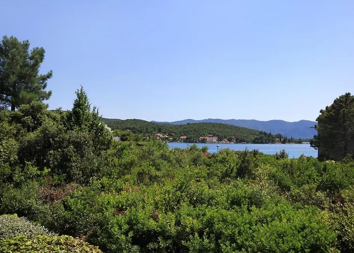 By The Sea Loviste, Peljesac - 10197 Lovište